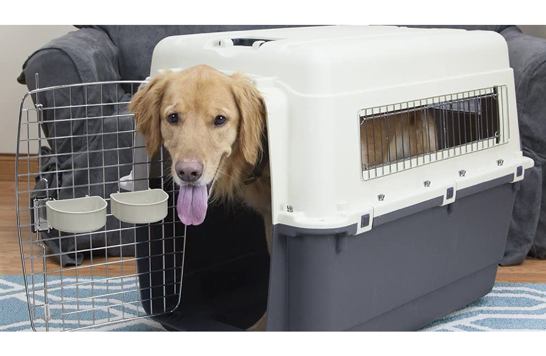 Пластиковый бокс для собак